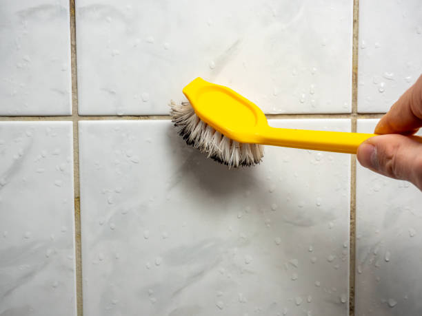 Best Residential Mold Remediation in Enterprise, WV