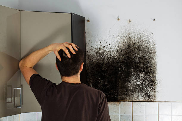 Best Bathroom Mold Remediation in Enterprise, WV